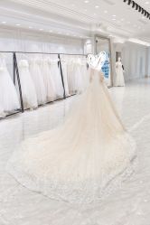 -MuseMarry婚纱(前海嘉里中心店)