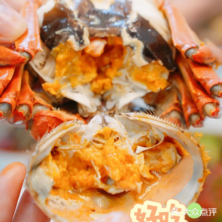 又是一年吃蟹季|他们家超好吃👇
