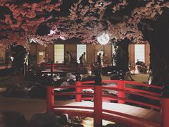 -蓝鲸湾汤泉(包河店)