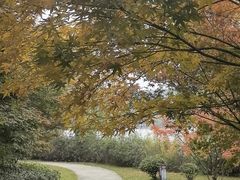 -云龙湖旅游景区