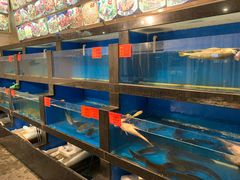 -华盛丰温州大排档(东三环南路店)