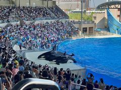 -上海海昌海洋公园