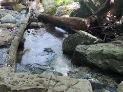 -七仙岭温泉国家森林公园