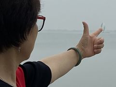 -南汇嘴观海公园