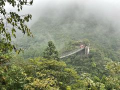 -娄山关景区