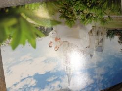 iphone_upload_pic-蔚蓝海岸婚纱摄影(上海店)