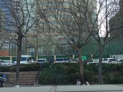 -山东省千佛山医院