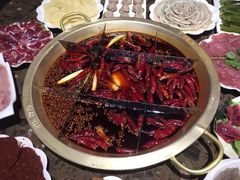 -田鸭肠·非遗火锅(彭州店)