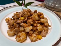 -丁老爷子苏香圆