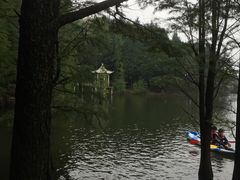 -四明山国家森林公园