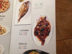-YOYO悠游美食地图(西市城购物中心店)