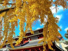 -上海东林寺(金山区)