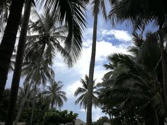 -三亚西岛海洋文化旅游区