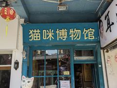 -猫咪博物馆(顶澳仔猫街店)