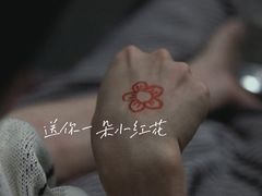 -博纳UA东方宝泰电影城