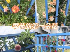 -南京邮电大学(仙林校区)