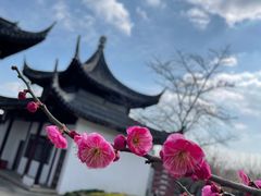 -苏州上方山国家森林公园