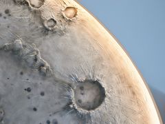 -FULL MOON满月咖啡