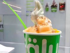 -Salud撒露欧洲冻酸奶(蓝色港湾店)