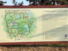 -东海森林温泉度假酒店