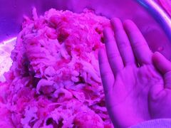 -江杨农产品批发市场