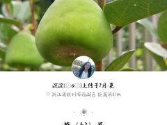 -浙江大学(玉泉校区)