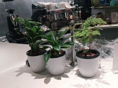 -NOKNOK若蔻亲子餐厅(天地壹方北馆店)