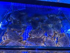 -达叔香味海鲜(海棠68环球美食街店)