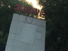 -文瀛公园
