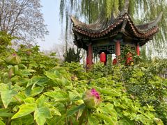 -荣国府