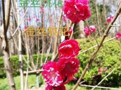 -中山公园