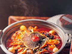 -眉州东坡(望京店)