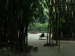 -望江楼公园