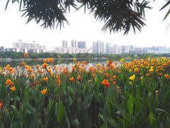 -南宁南湖公园