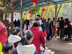 -广东茂名森林公园