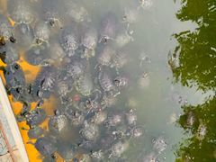 -八景休閒山莊  廣東十大名山莊