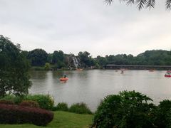 -枫香湖儿童公园