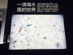 -同济大学四平路校区深海探索馆