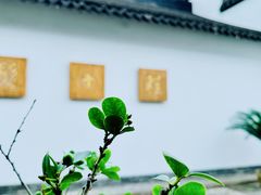 -程十发艺术馆