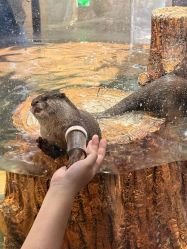 -Zoolung Zoolung动物主题公园(海信广场店)