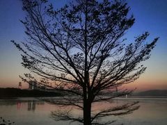 -深圳湾公园(南山区)
