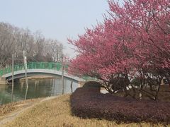 -白塘生态植物园