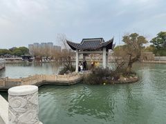 -八大山人梅湖景区