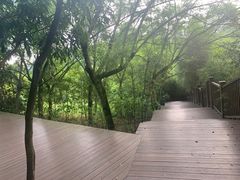 -张坝桂圆林公园
