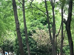 -石峰公园
