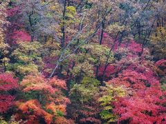 -关门山森林公园