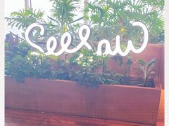 -Seesaw Coffee(朝阳大悦城店)