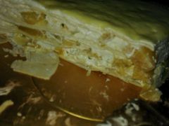 -OL’s Cake鲜荟千层(东风中路店)