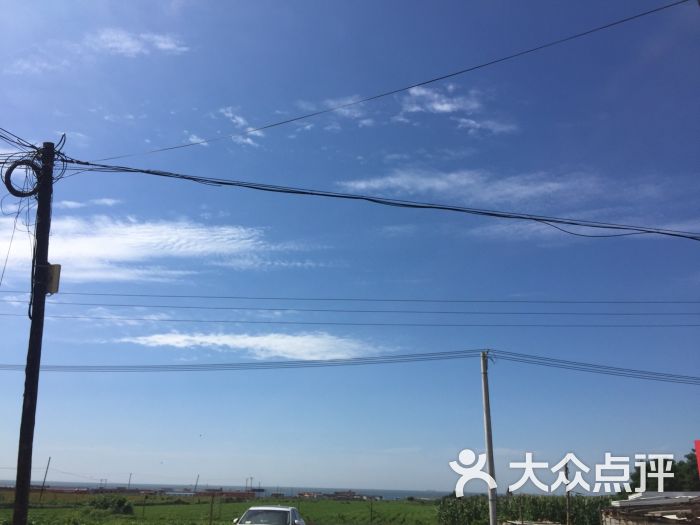 崔艺宝妈邵丹上传的图片