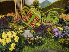 -杭州植物园